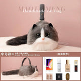 This year's popular bags, small bags, niche popular models, versatile and fashionable mobile phone bags, new online celebrity chain messenger bags, free shipping